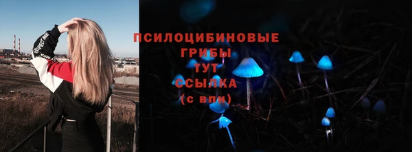 дурь Касимов