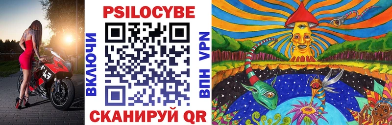Купить закладки  Улан-Удэ  Псилоцибиновые грибы Psilocybe 